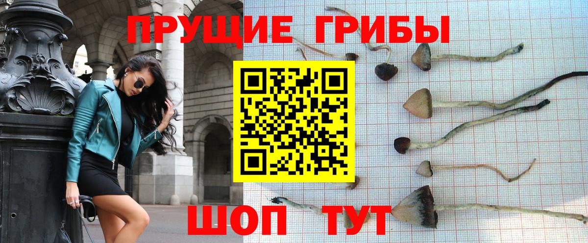 Ишимбай  Псилоцибиновые грибы мицелий  Вход с VPN 